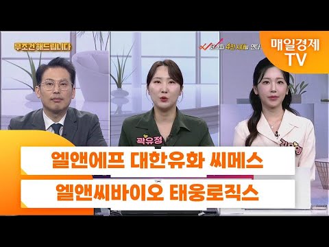 [친절한 종목상담 4989] 엘앤에프 대한유화 씨메스 엘앤씨바이오 태웅로직스