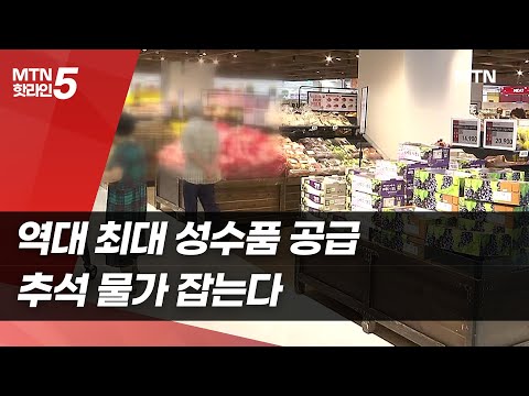 역대 최대 성수품 공급…추석 물가 잡는다 / 머니투데이방송 (뉴스)