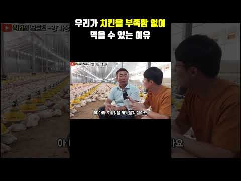 우리가 치킨을 부족함 없이 먹을 수 있는 이유