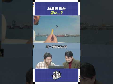 새우깡 먹는 갈ㅁ...? | 개그콘서트 Gagconcert | KBS 250907 방송