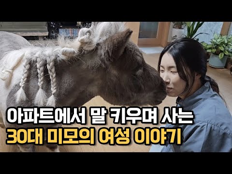 아파트에서 말 키우며 사는 30대 미모의 여성 이야기 https://bbs.opparadise.com/data/apms/video/youtube/2cM4ZPCHCNE.jpg 아파트에서 말 키우며 사는 30대 미모의 여성 이야기