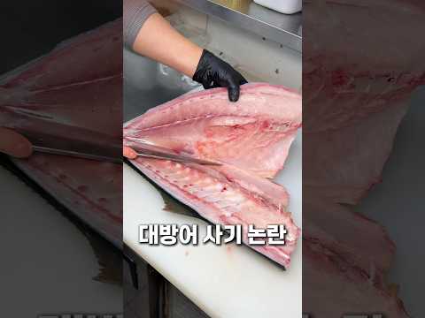 대방어 사기 논란? #오징어선수촌