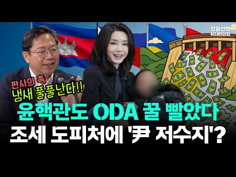 김건희 ODA 급발진...윤핵관도 꿀 빨았다-김승원 "조세 도피처에 윤석열 자금 저수지 추적해야"