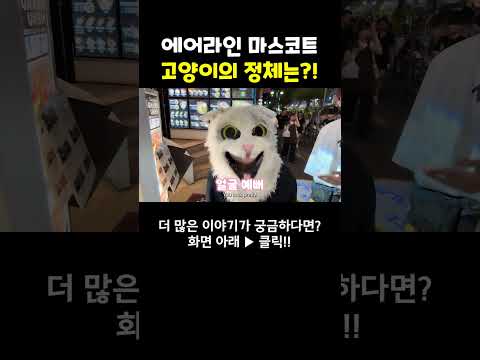 고양이탈의 반전 #shorts #여행유튜버 #여행유튜브 #박진우 #미녀 #travel #korean #beauty #美女