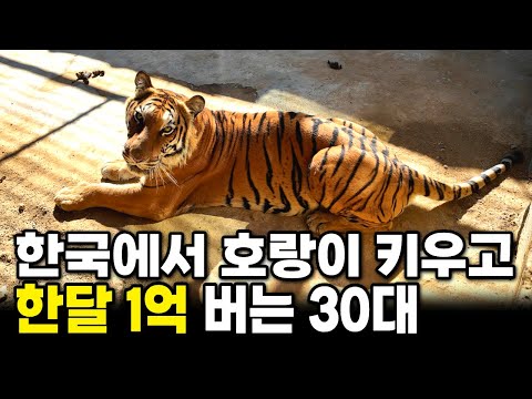버려진 호랑이, 사자 키워서 시골에 동물원 만든 강릉쌍둥이동물원 35살