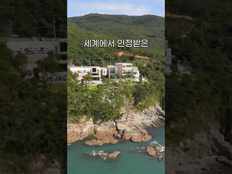 세계에서 인정받은 대한민국 카페