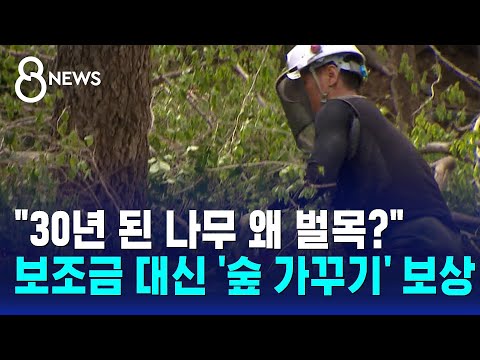 "30년 된 나무 왜 벌목?"…보조금 대신 '숲 가꾸기' 보상 / SBS 8뉴스 https://bbs.opparadise.com/data/apms/video/youtube/46gw7q3KJzA.jpg "30년 된 나무 왜 벌목?"…보조금 대신 '숲 가꾸기' 보상 / SBS 8뉴스