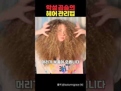 악성곱슬인의 삶