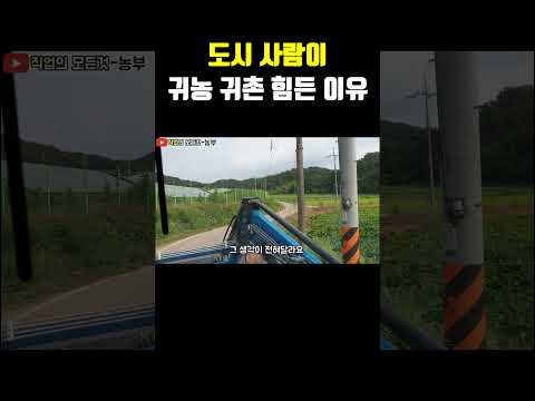 도시 사람이 귀농 귀촌 힘든 이유 https://bbs.opparadise.com/data/apms/video/youtube/4uoIzCZFvfI.jpg 도시 사람이 귀농 귀촌 힘든 이유