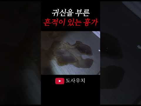 귀신을 부른 흔적이 있는 흉가#shorts