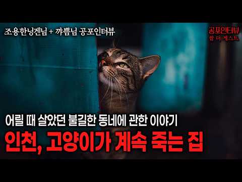 【실화 공포인터뷰】인천의 고양이가 계속 죽어나갔던 집ㅣ쌈무이 공포라디오ㅣ쌈더게스트 조용한닝겐님, 꺄쁨님ㅣ무서운이야기ㅣ시참ㅣ괴담ㅣ소름