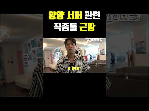 양양 서퍼 관련 직종들 근황