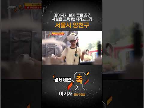[경세제민 촉] 강아지가 살기 좋은 곳? 사실은 교육 1번지라고...?! 서울시 양천구