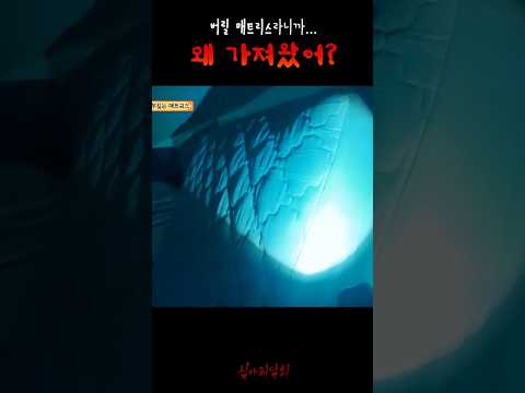 버릴 매트리스라니까... 왜 가져왔어? #심야괴담회