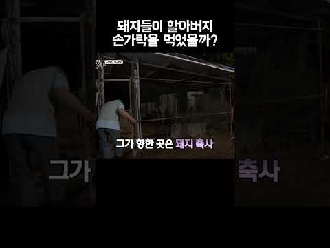 그러게 왜 거기서 잠을 자요 #shorts https://bbs.opparadise.com/data/apms/video/youtube/7EJmch8ufRU.jpg 그러게 왜 거기서 잠을 자요 #shorts