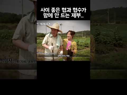 형수와 형의 사이를 보고 질투심을 느끼는 제부?! #shorts https://bbs.opparadise.com/data/apms/video/youtube/7YJvA4Rh6ZA.jpg 형수와 형의 사이를 보고 질투심을 느끼는 제부?! #shorts