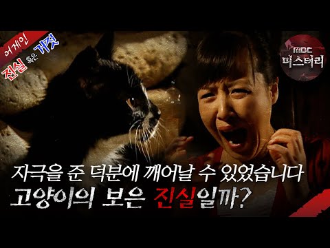 [어게인 진실 혹은 거짓] 검은 고양이 VS The Fan MBC070520방송