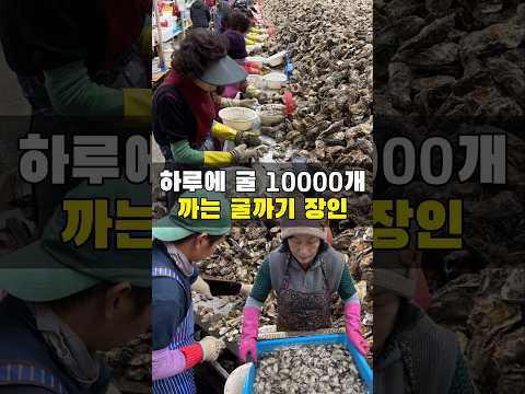 혼자서 하루에 굴을 만개 깐다고요? https://bbs.opparadise.com/data/apms/video/youtube/7kWR22cQMw0.jpg 혼자서 하루에 굴을 만개 깐다고요?