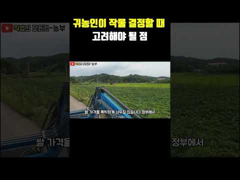 귀농인이 작물 결정할 때 고려해야 될 점