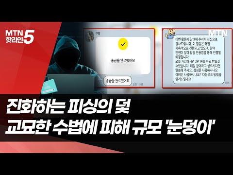 진화하는 피싱의 덫…교묘한 수법에 피해 규모 '눈덩이'[피싱, '초국가' 대응①] / 머니투데이방송 (뉴스)