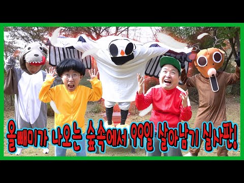 99나이트 올빼미가 실제로있다면?! 올빼미 나오는 99나이트 인더포레스트 실사판2 https://bbs.opparadise.com/data/apms/video/youtube/8ZMq_DslO9U.jpg 99나이트 올빼미가 실제로있다면?! 올빼미 나오는 99나이트 인더포레스트 실사판2