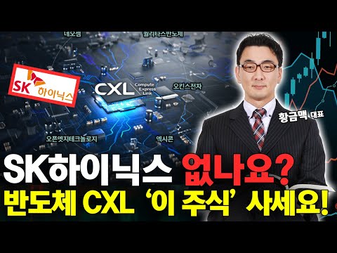 삼성전자, SK하이닉스 없나요? 다음 반도체 급등 CXL '이 주식' 꼭 담아보세요!