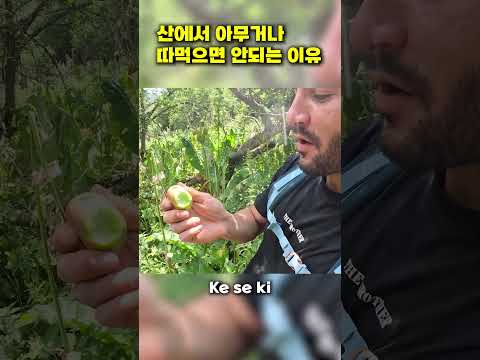 한국인보다 욕 더 잘하는 터키인