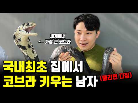 가장 위험한 동물을 목숨걸고 집에서 키우는 남자 [코브라] 1부