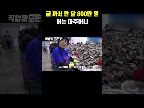 굴 까서 한 달 800만 원 버는 아주머니
