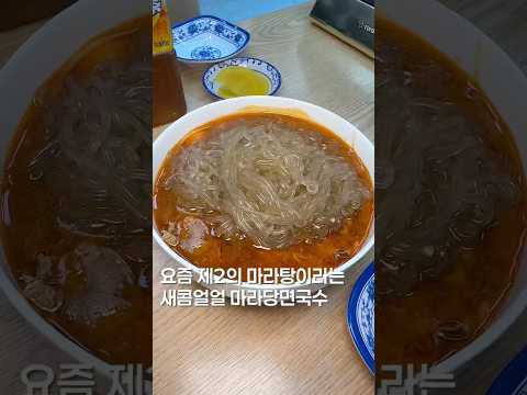 제2의 마라탕? #shortsvideo #맛집 #한국의맛 #맛집소개유투버 #음식 #서울맛집 #맛집리뷰 #food #koreanfood