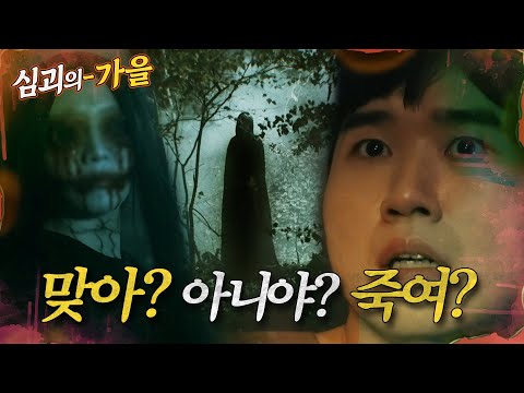 [#심괴의가을] 맞아? 아니야? 죽여? MBC241201방송 #midnight #horrorstory