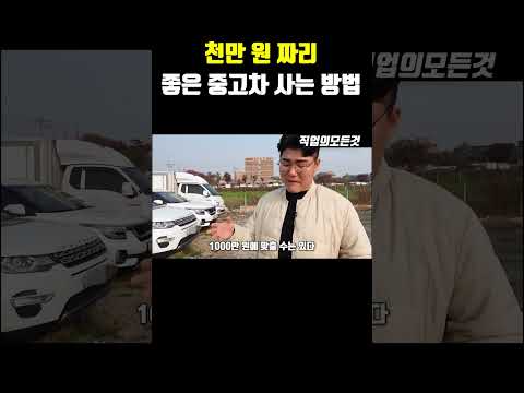 천만 원 짜리 좋은 중고차 사는 방법 https://bbs.opparadise.com/data/apms/video/youtube/BwbkZ0LyfT4.jpg 천만 원 짜리 좋은 중고차 사는 방법