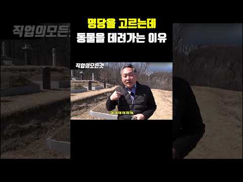 명당을 고르는데 동물을 데려가는 이유