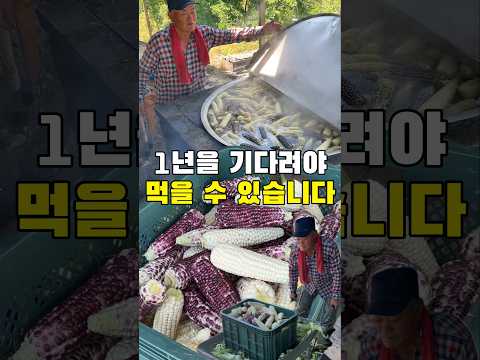1년 기다려서 먹은 옥수수