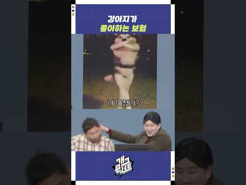 강아지가 좋아하는 보험 | 개그콘서트 Gagconcert | KBS 251005 방송