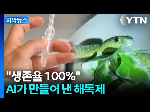 [자막뉴스] 저렴하고 빠르다…AI로 만든 뱀 해독제 효과 '충격' / YTN