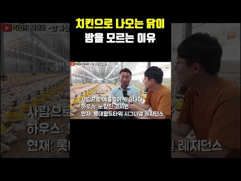 치킨으로 나오는 닭이 밤을 모르는 이유