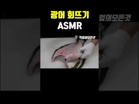 광어 회뜨기 ASMR