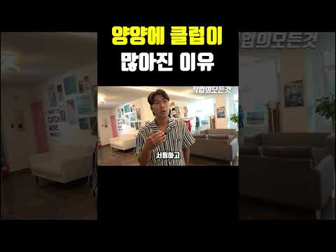 양양에 클럽이 많아진 이유