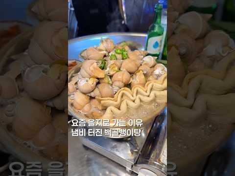 냄비터진 골뱅이탕? #맛집 #맛집소개유투버 #한국의맛 #koreanfood #shortsvideo #seoultrip #서울맛집 #을지로맛집
