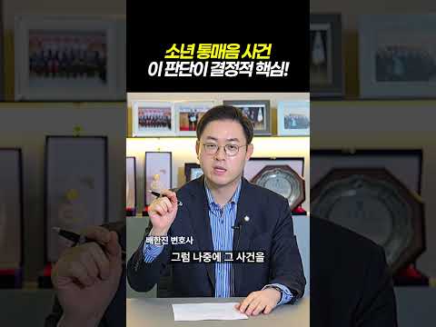 소년 통매음 사건 이 판단이 결정적 핵심｜검사출신 형사전문변호사 배한진