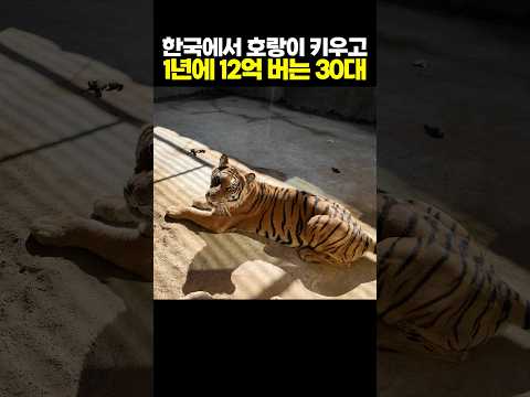 한국에서 호랑이 키우고 1년에 12억 버는 30대