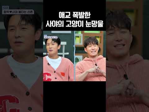 거절할 수 없는 사야의 애교 #신랑수업 https://bbs.opparadise.com/data/apms/video/youtube/HEBwSUWDZyA.jpg 거절할 수 없는 사야의 애교 #신랑수업