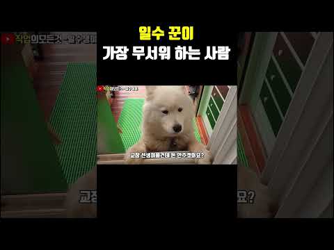 일수꾼이 가장 무서워 하는 사람