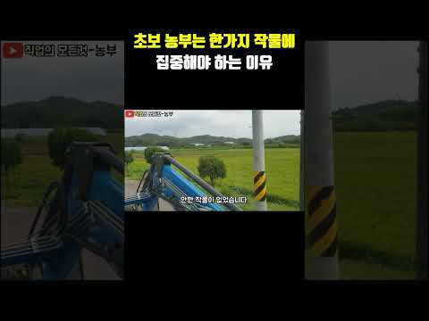 초보 농부는 한가지 작물에 집중해야 하는 이유