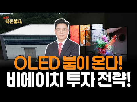 비에이치 주가 투자 전략! OLED 시장을 선점하자!