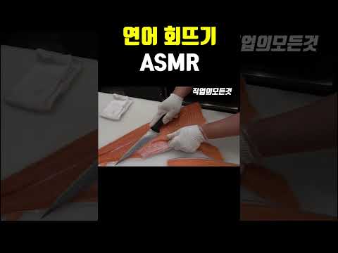 연어 회뜨기 ASMR
