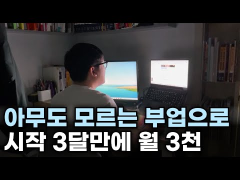 아무도 모르는 부업으로 시작 3달만에 월 3천만원