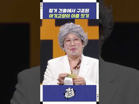철거 건물에서 구조된 아기고양이 이름 짓기 | 개그콘서트 Gagconcert | KBS 251005 방송