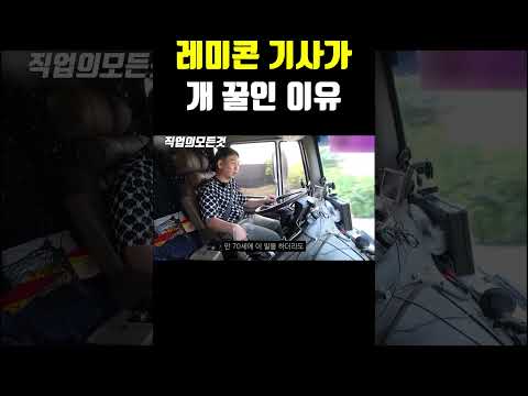 레미콘 기사가 개 꿀인 이유